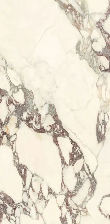PL612671 Calacatta Viola Luc Ret 60x120 — 2