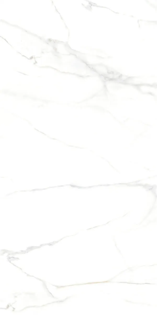 P15006 White — 7