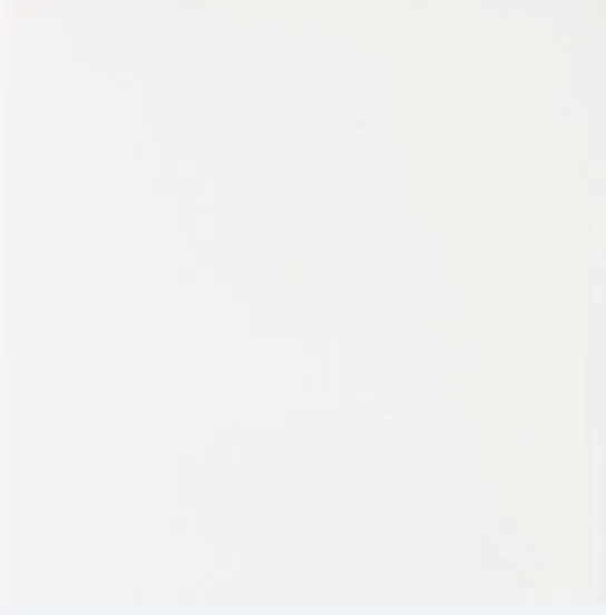 ADST1001 Liso Snow Cap — 1