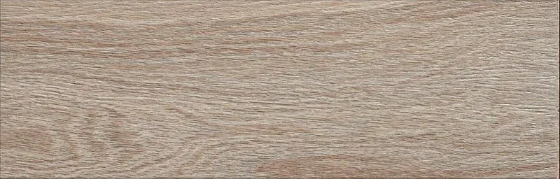 Acacia Haya — 1