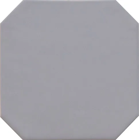 Octagon Gris Mate 20x20 — 1