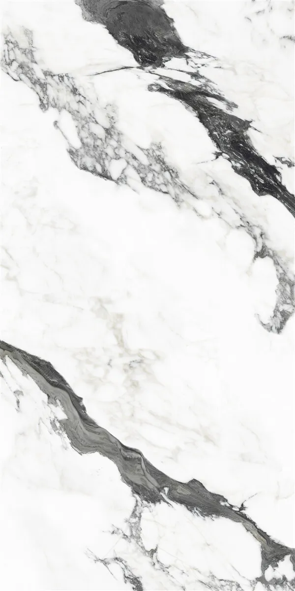 P19707 White — 7
