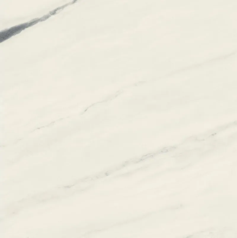 610015000648 Panda White Lapp — 4