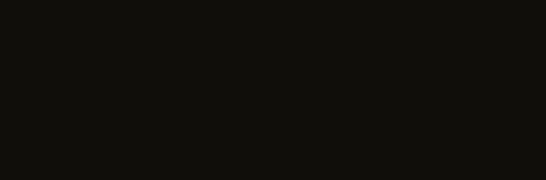 Negro Mate 33,3x100 — 1