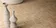 Naturel Edimax Ceramiche — фото 13