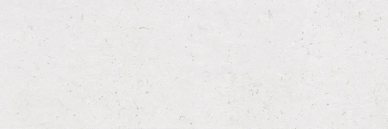 Lino — 4