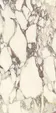 PL612671 Calacatta Viola Luc Ret 60x120 — фото 11