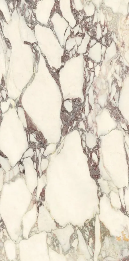 PL612671 Calacatta Viola Luc Ret 60x120 — 11