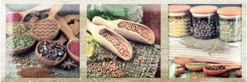 Exquisit A Brillo 10x30 — 1