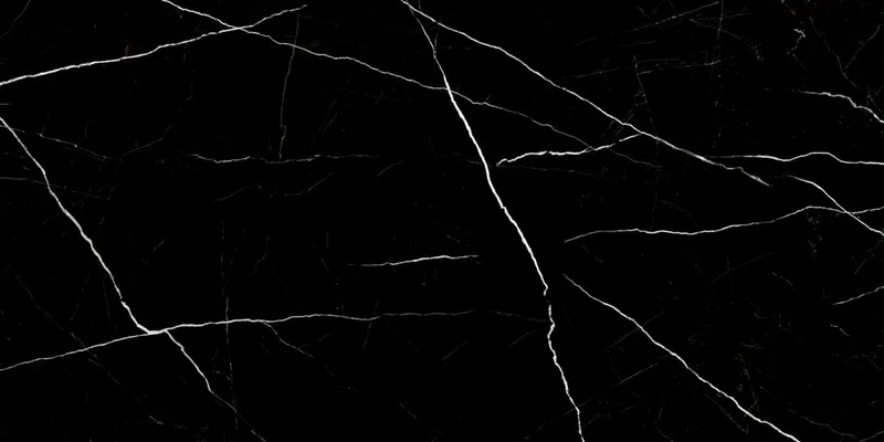 60120TWN99HG Black — 4