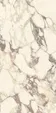 PL612671 Calacatta Viola Luc Ret 60x120 — фото 1