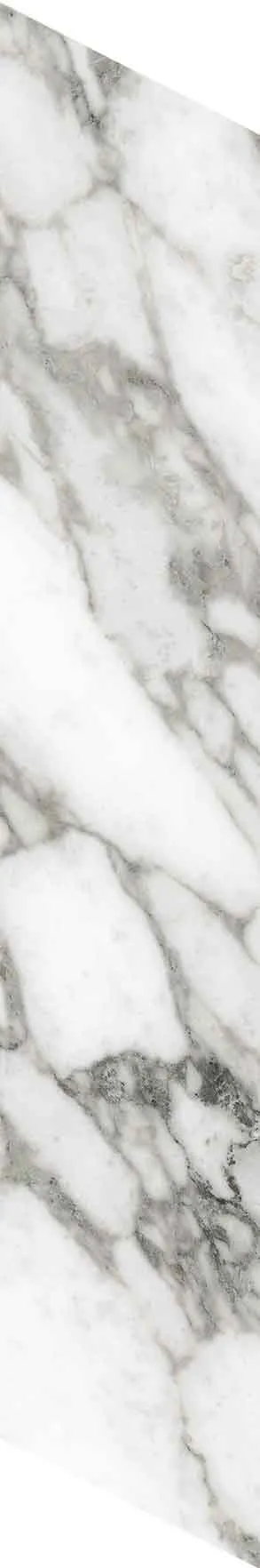 PF60012691 Chevron Bianco Vagli — 17