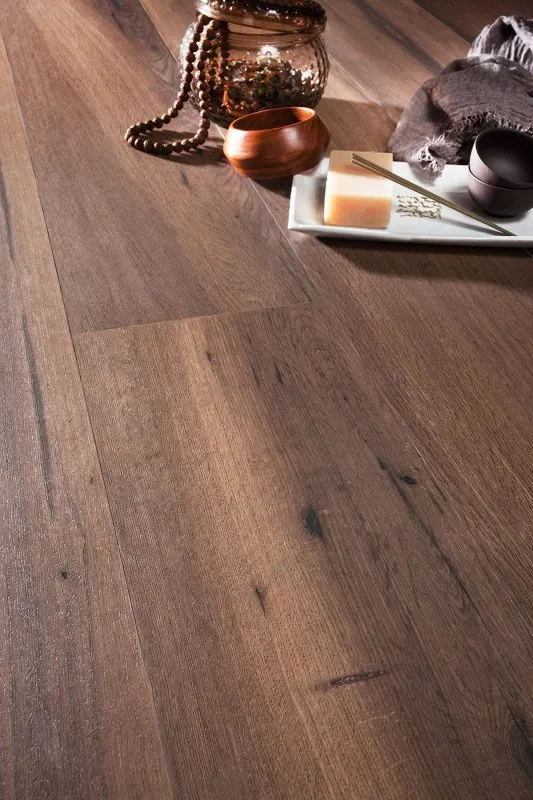 Forest La Platera — 14