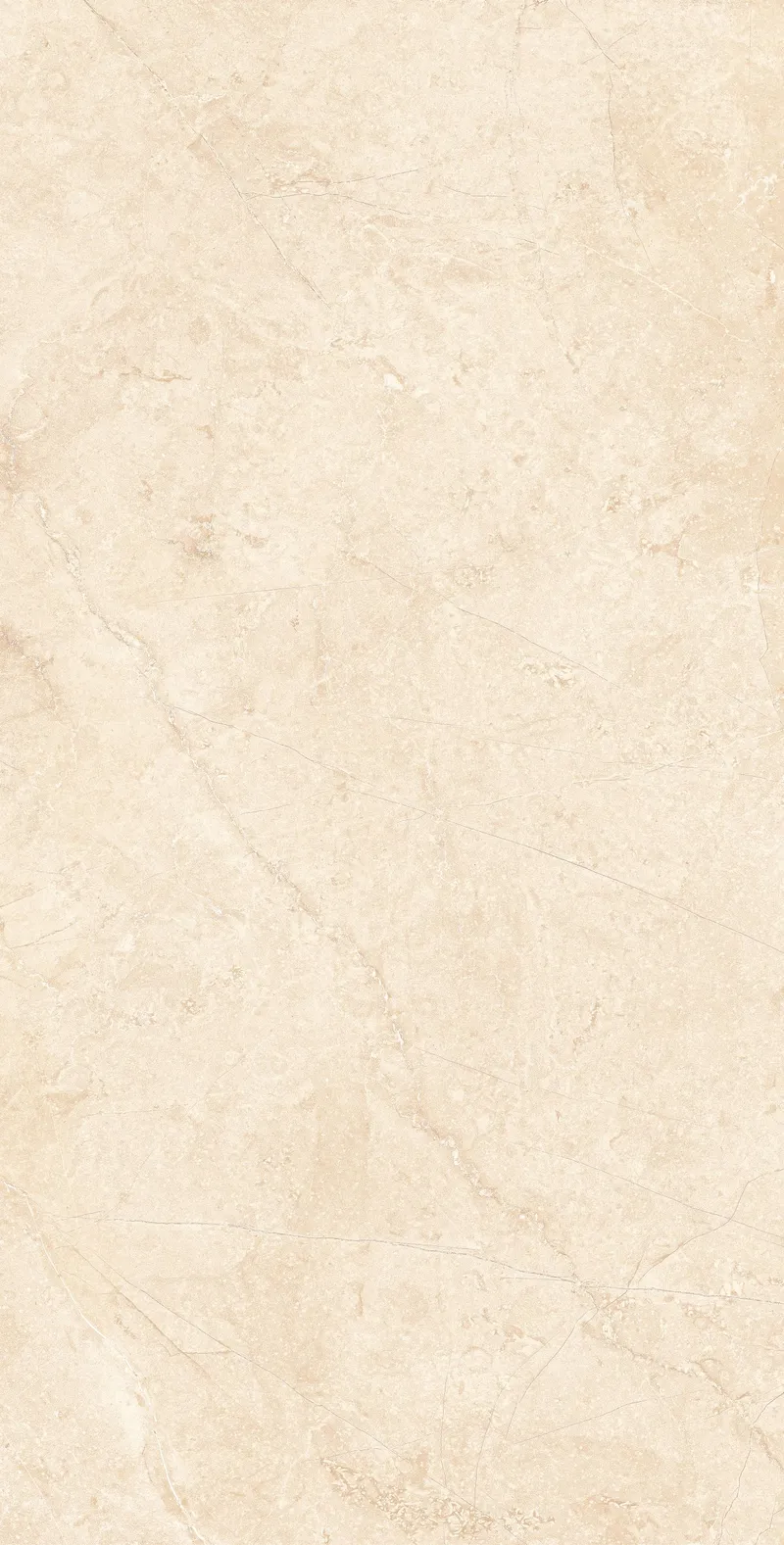 Light Beige MA02/PS — 5