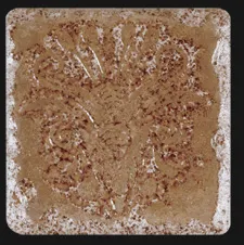 Kyrah BR 1-6 Morak — 1