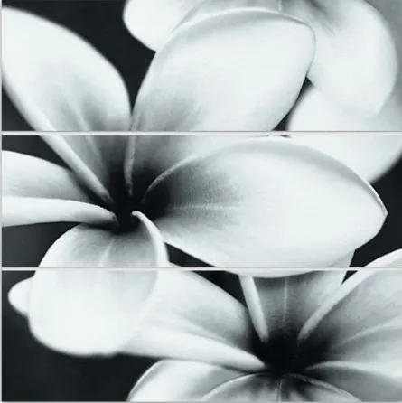UG2U093D — 1