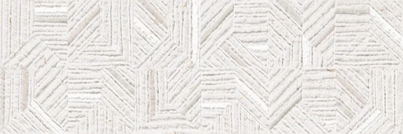 Concept Lino — 1