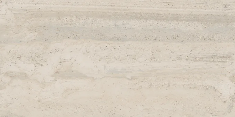 PF60005213 Bone Vein — 4