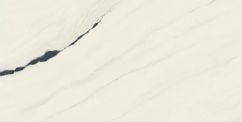 610015000664 Panda White Lapp — 5