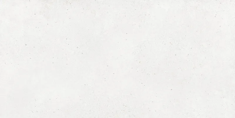 Montiver Pearl 60x120 — 1