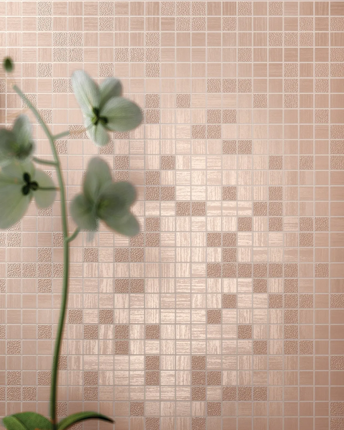 Bon Chic Marca Corona — 14