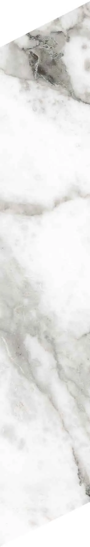 PF60012691 Chevron Bianco Vagli — 10
