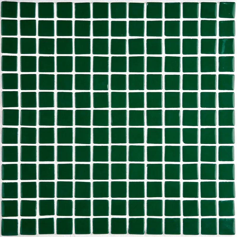Lisa 2555-C — 1