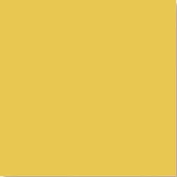 Agatha Amarillo — 1