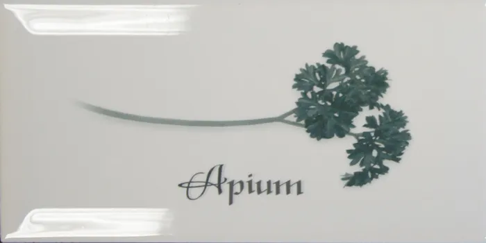 Decor Blanco Apium — 1