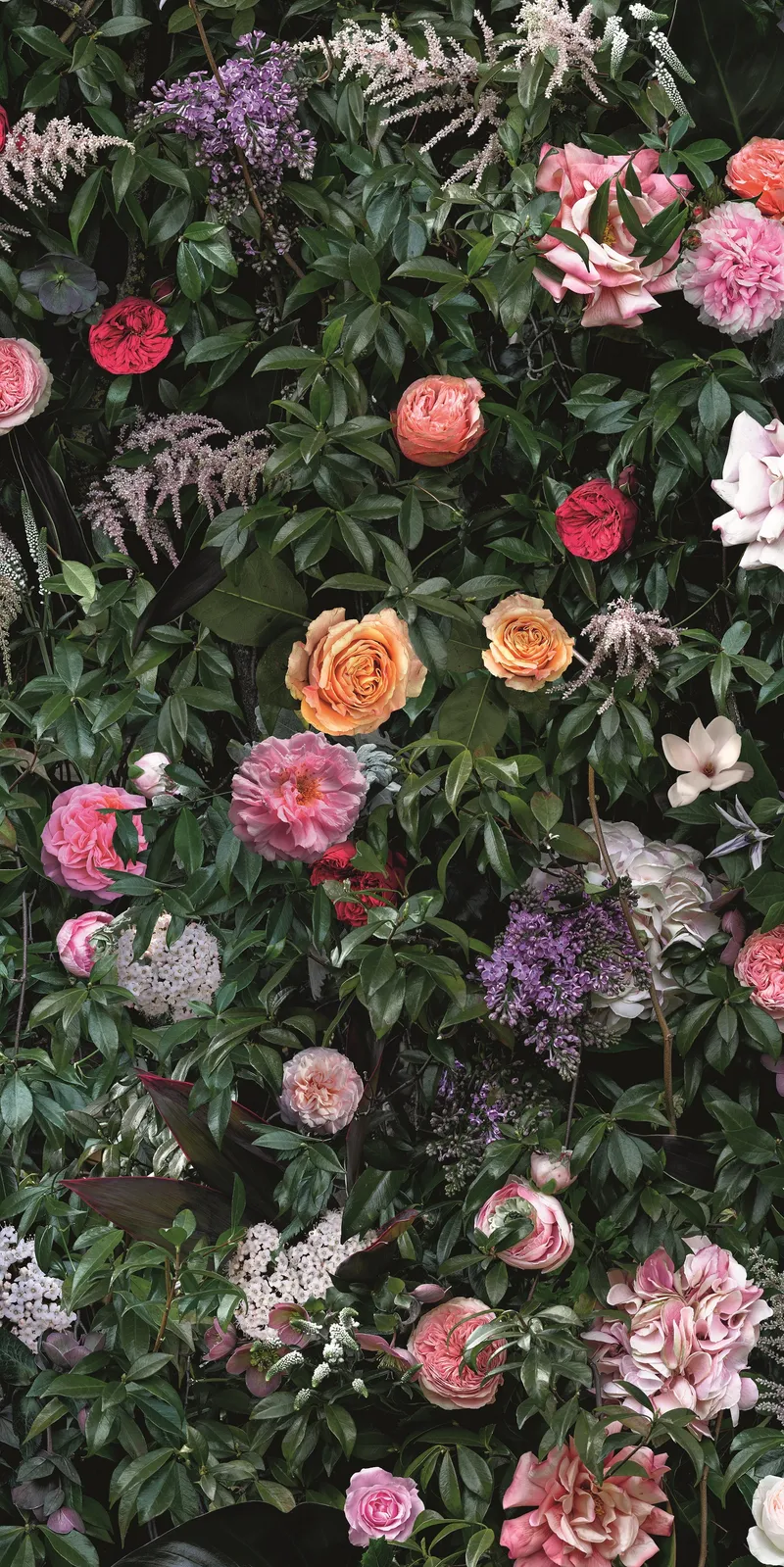 4100993 William — 2