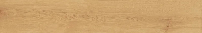 Exence Almond 20x120 — 1