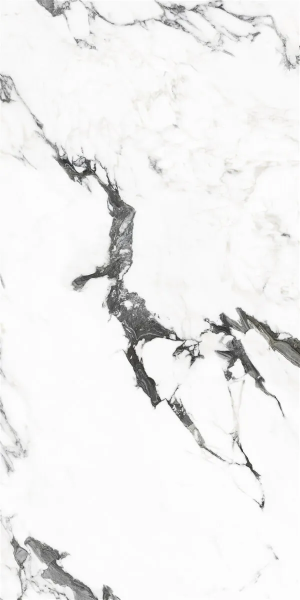 P19707 White — 6