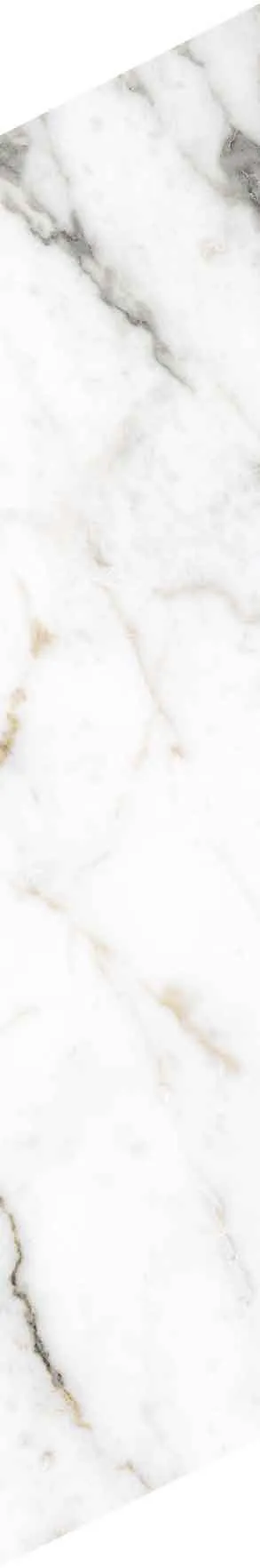 PF60012691 Chevron Bianco Vagli — 8