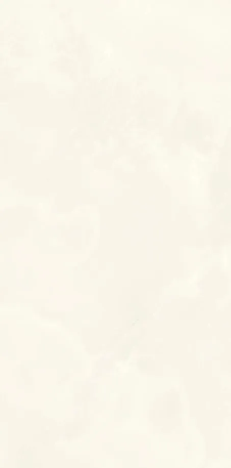 PK612400 Onice Bianco Extra lev. silk — 7
