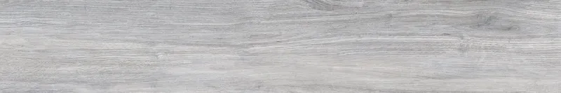 32079 Ash — 4