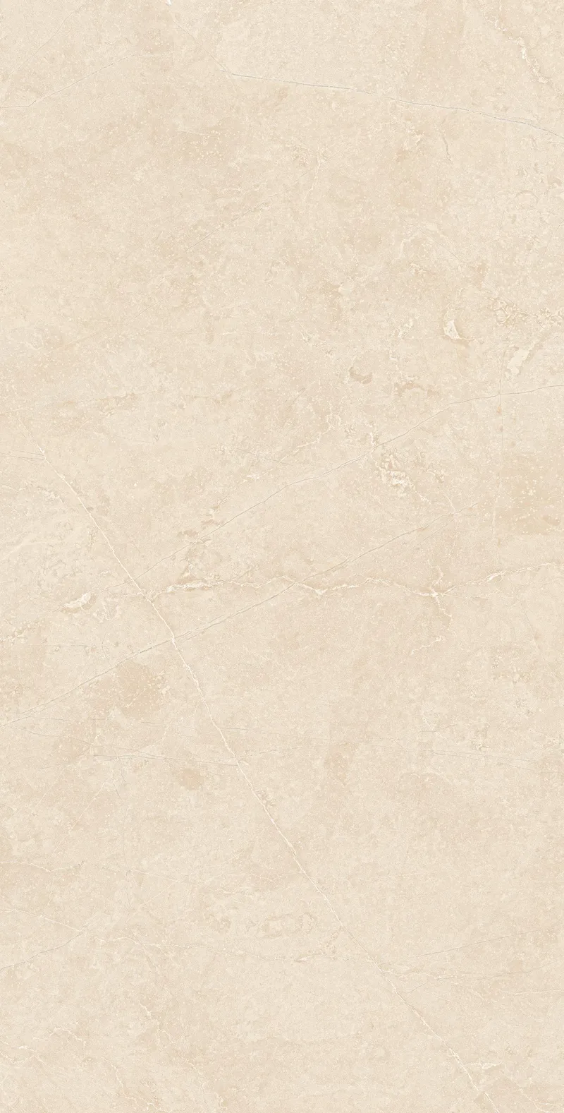 Dark Beige MA03/PS — 4