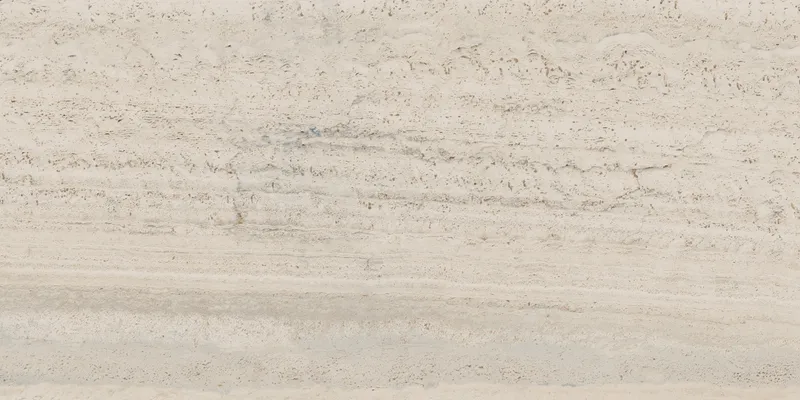 PF60005213 Bone Vein — 6