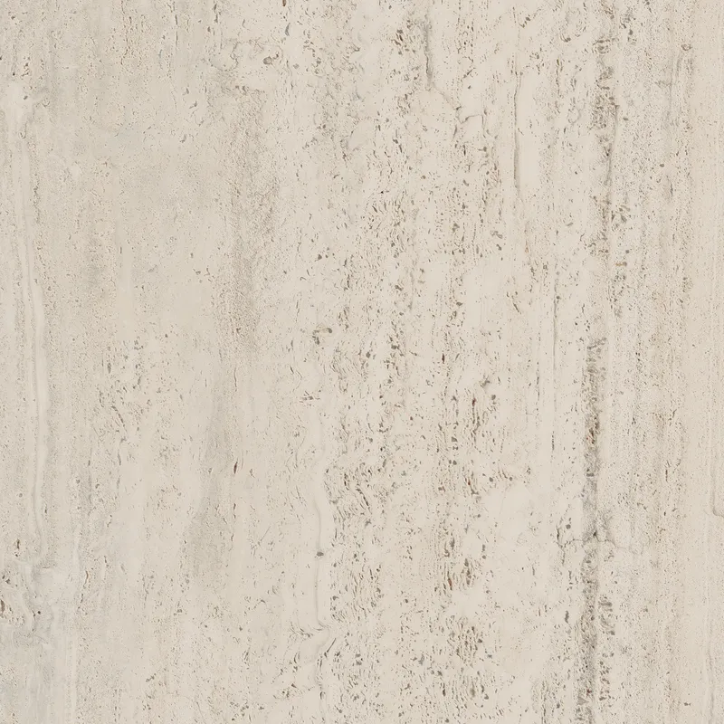 PF60006606 Bone Vein — 4