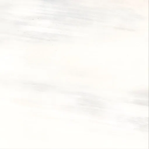 556803 Tanduk Bianco Lapp/Rett — 1