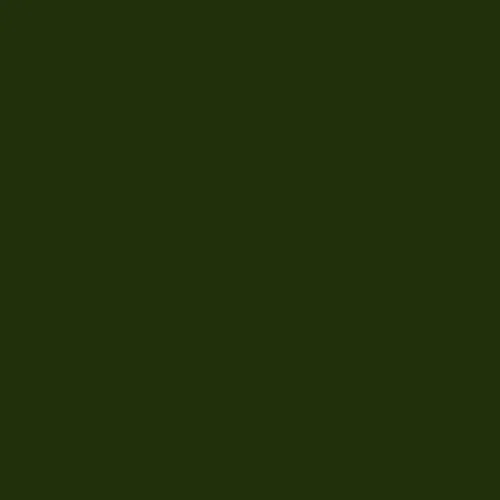 Verde Botella Brillo — 1