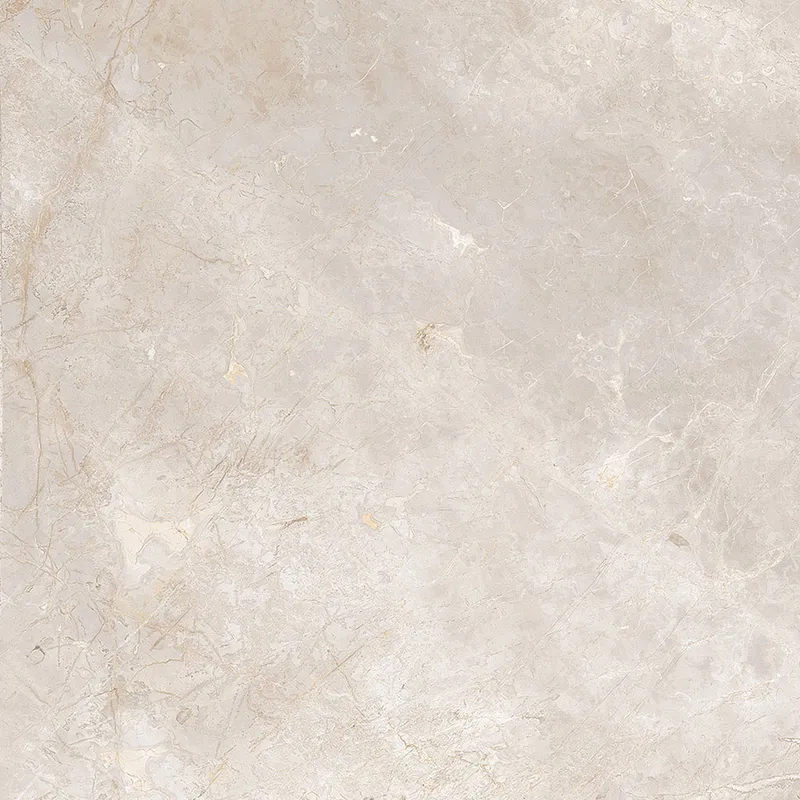 Imagine Beige 60x60 — 1
