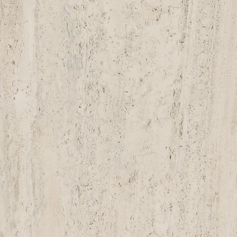 PF60006606 Bone Vein — 12