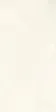 PK612400 Onice Bianco Extra lev. silk — фото 3