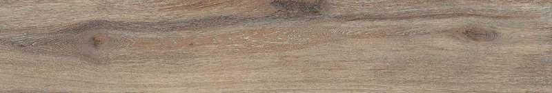 Brown DA04/19 — 16