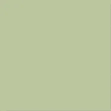 Verde Mate 20x20 — 1