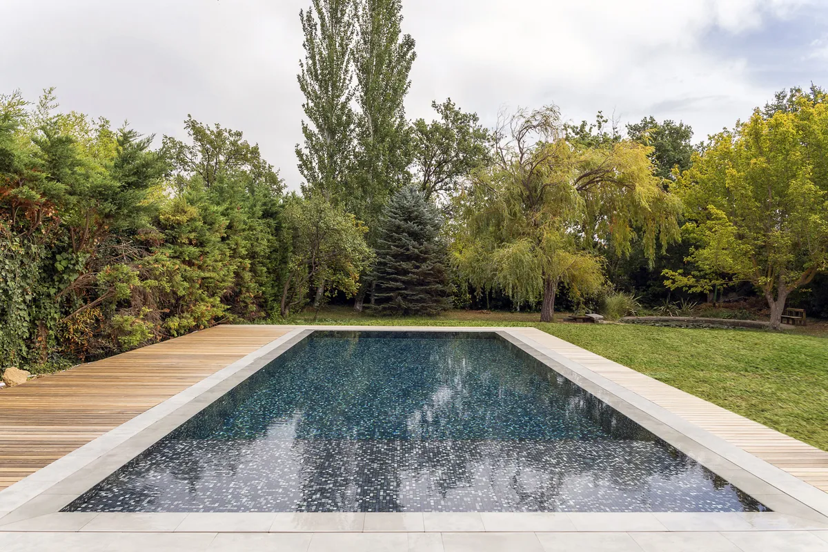 Cocktail Ezarri — 51