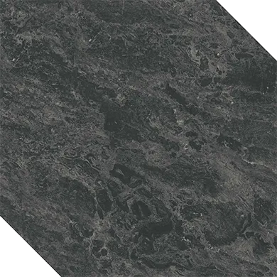 SG955600N — 1