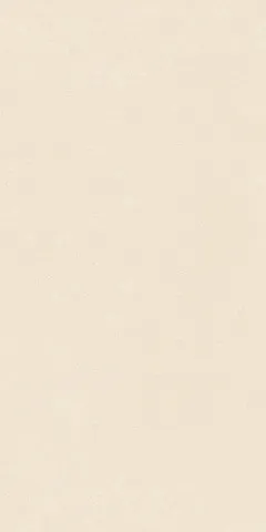 Ivory 60x120 — 1