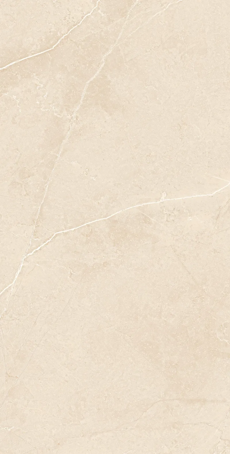 Dark Beige MA03/PS — 3