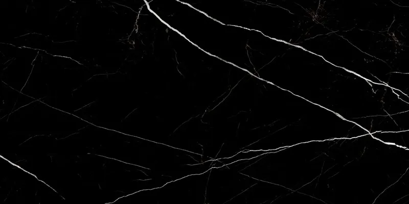 60120TWN99HG Black — 3